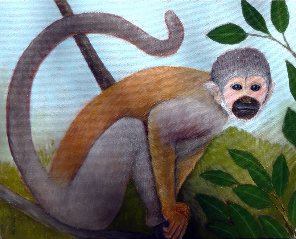 Squirrel Monkey