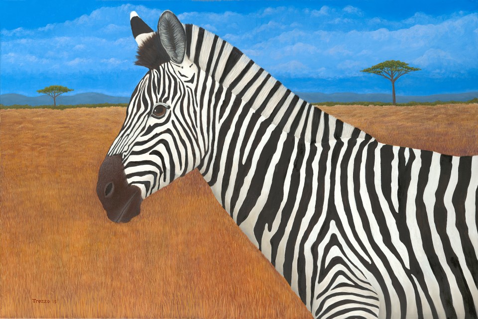 Z is for Zebra Oil on Canvas 24 x 36